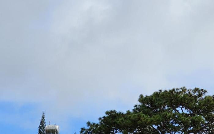 Livi Place Đà Lạt