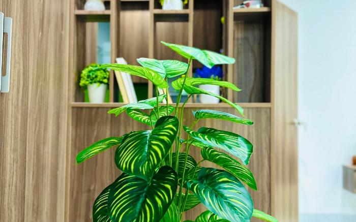 STUDIO FULL đồ  tại 214 Phú Diễn