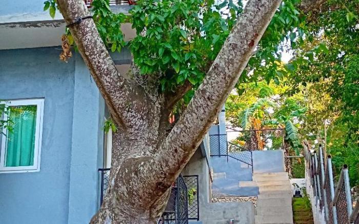 Dinihills Apartments