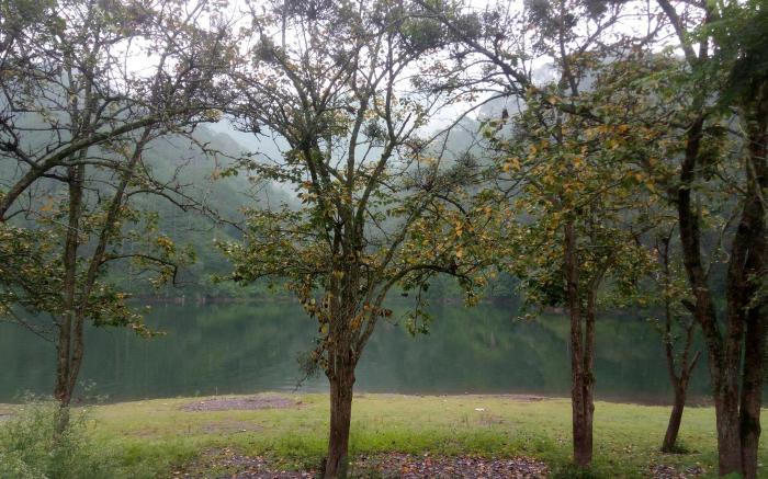 YMCA Campsite Sattal