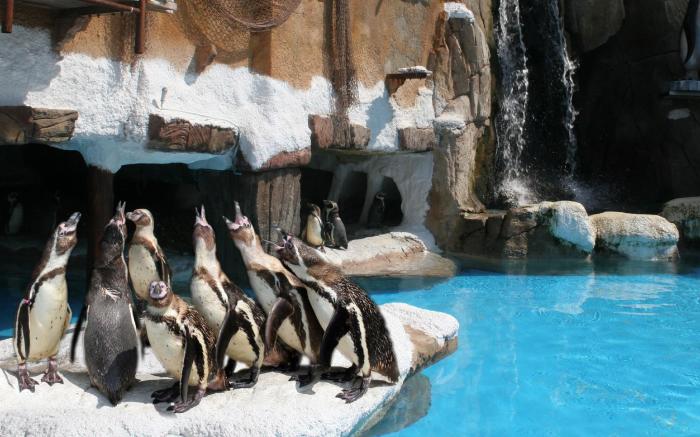 Four Points by Sheraton Costa Blanca Resort