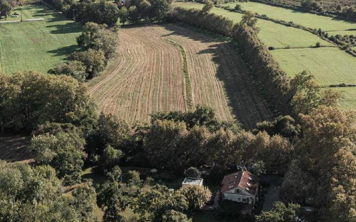 Domaine de la Felicità