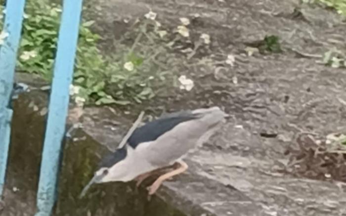 Yilan宜蘭科學園區背包客棧