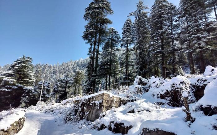Himalayan Horizon Deohari Village