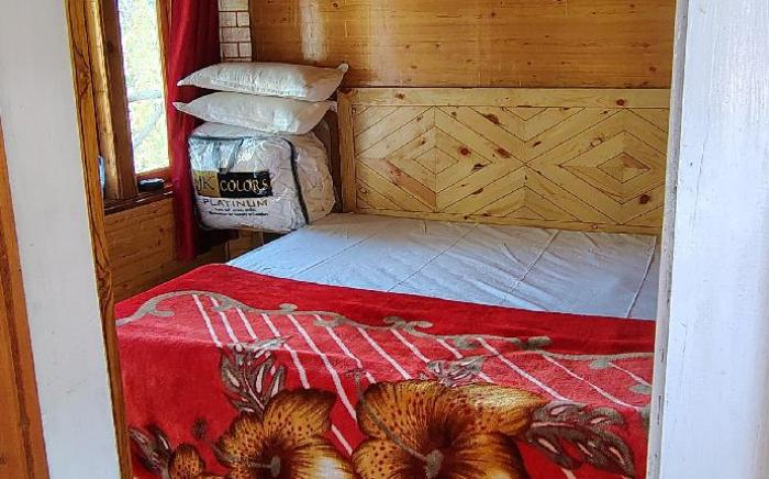 Seo Bagh cottage NArkanda