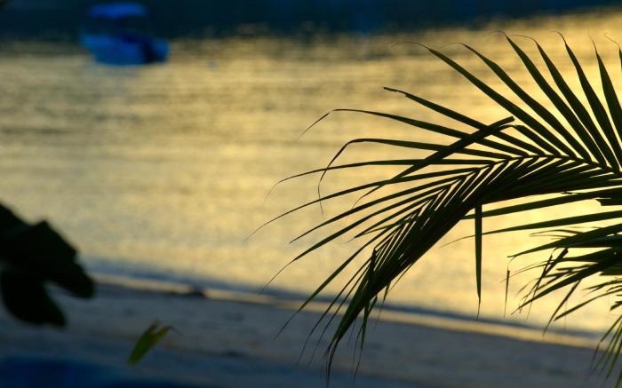 Samui Haus Resort