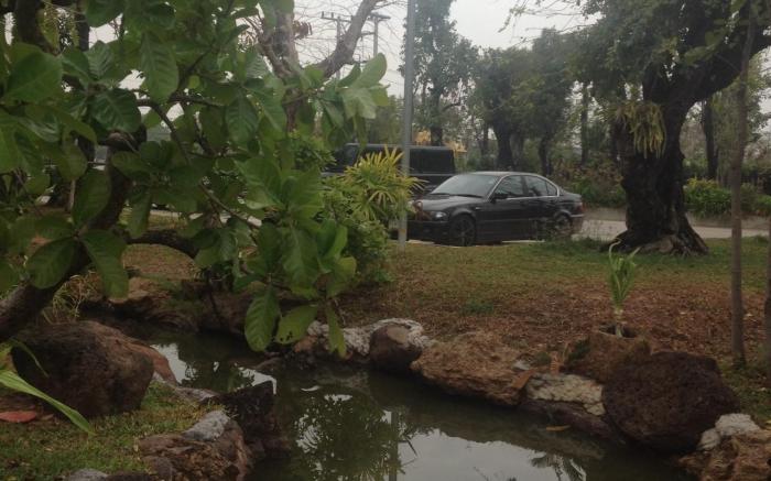 Green Garden Resort