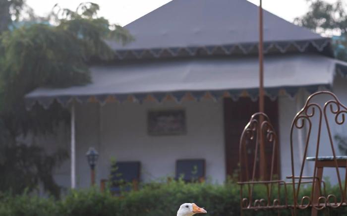 Atithi Luxury Resort