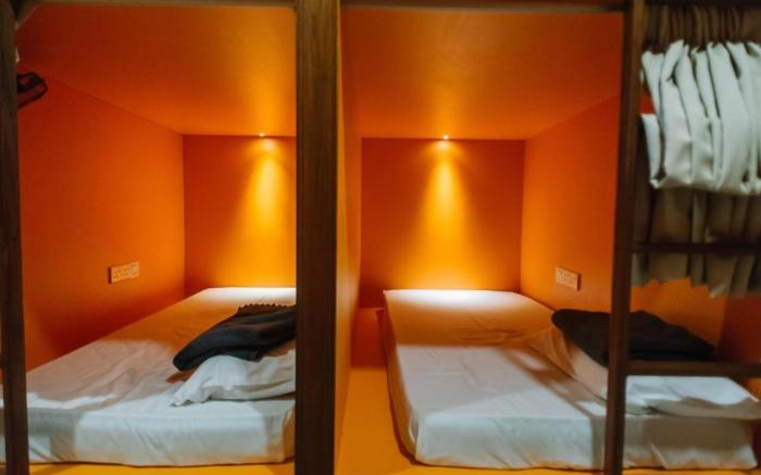 Heliconia by Treebridge