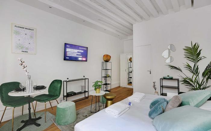 Magnificent studio - 2P - Les Halles