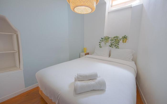ALFAMA COSY by HOMING