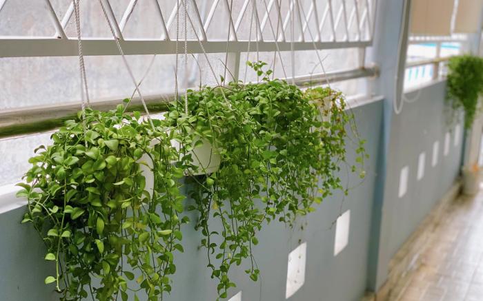 Phòng đôi có cửa sổ ở tầng 2 hoặc 3