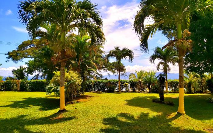 Ocean Breeze Guest House