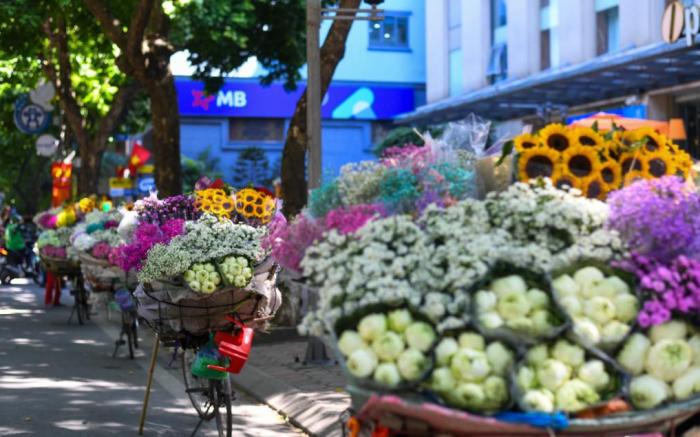 Hanoi Van Hoa Hotel