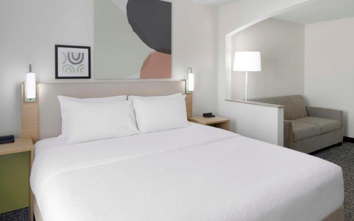 Spark by Hilton Lansing