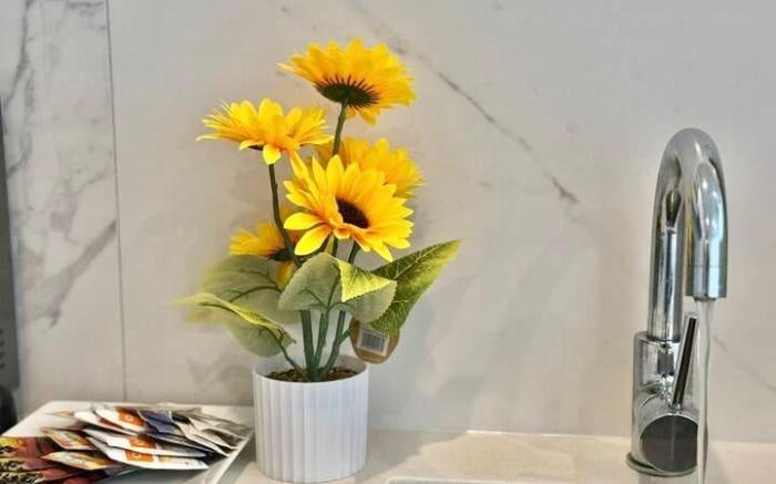 Free parking 2B1B family home  in AKL CBD 5C