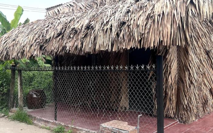 Modern Thatch