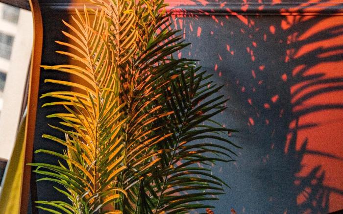 ChongQing WUYE Hotel