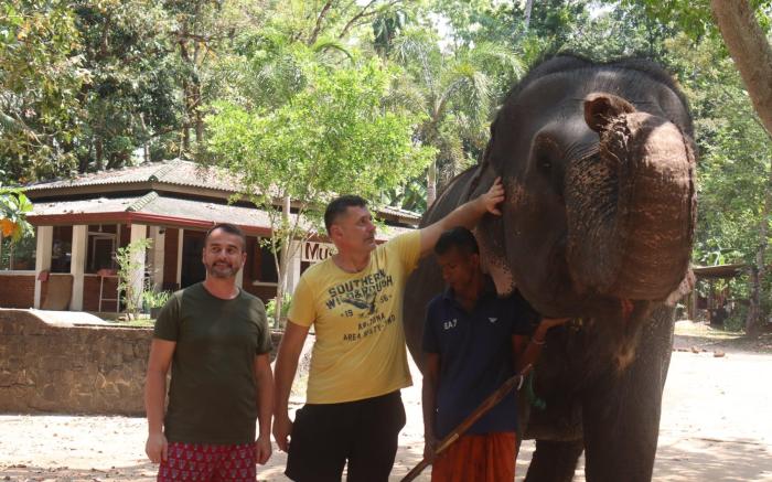 Elephant Vale
