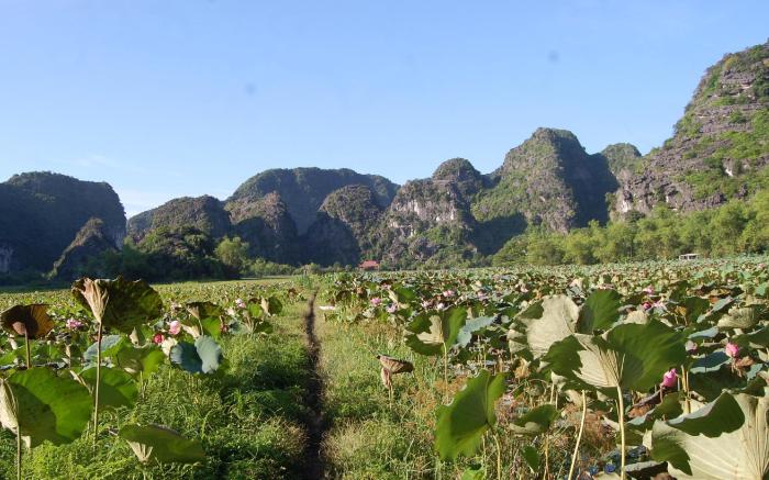 Trang An Farm Stay Guest House