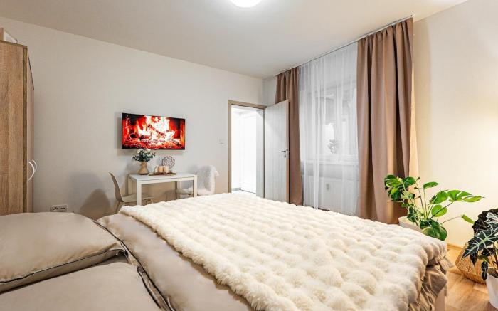 Apartmán 102