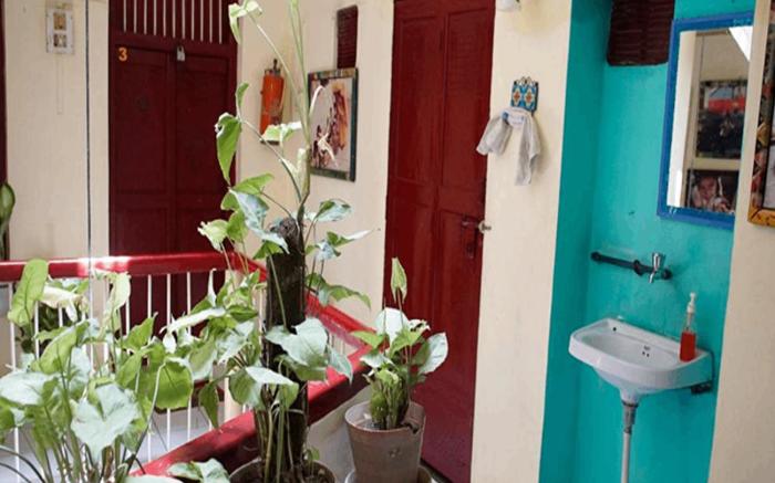 Brown Bread Bakery Guest House