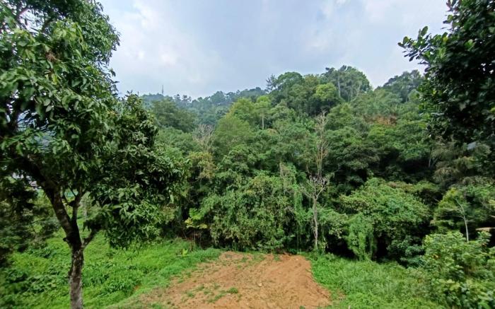 Elenji Dream Villa Homestay