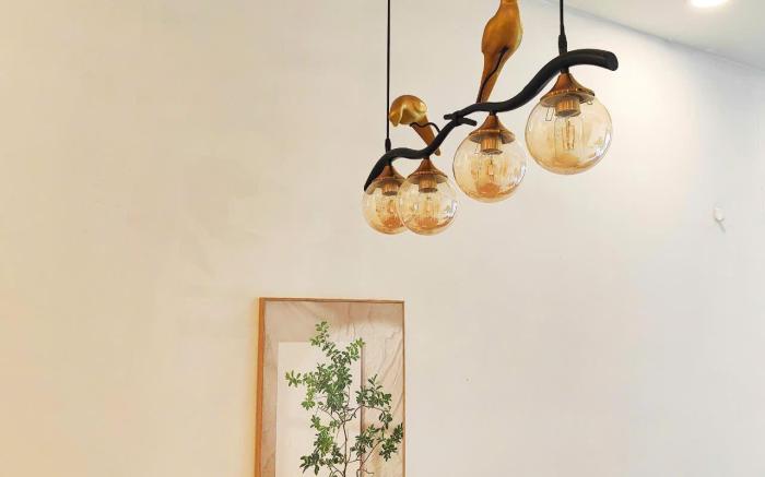 Căn hộ cao cấp