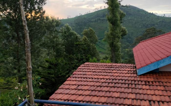 Nest Valley Kotagiri 