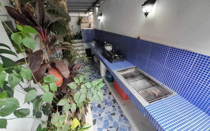 Escalado de Jardin - Glasshouse A