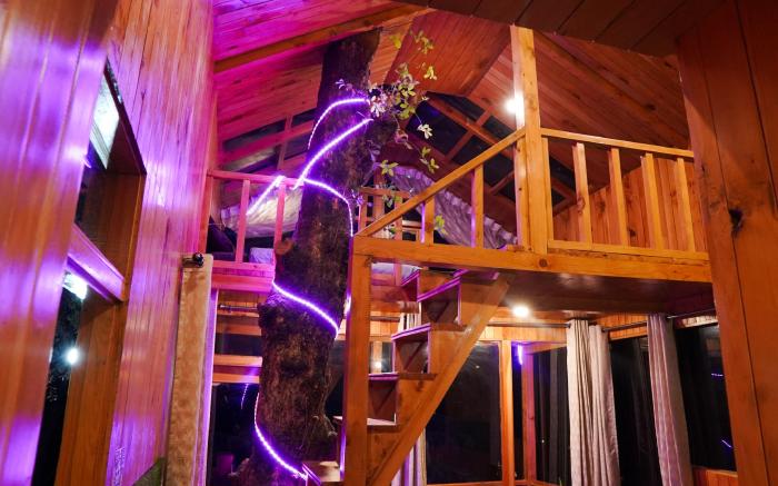 WOW the Tree House