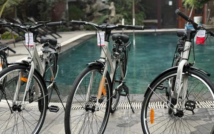 Amazing Ninh Binh Garden