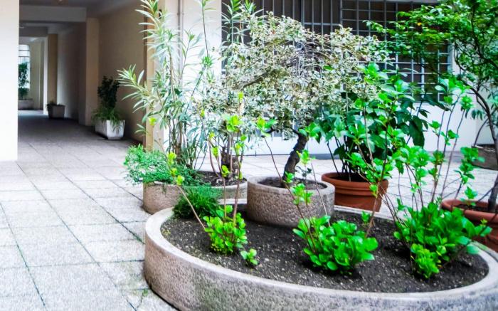 Green Leaf Apartment