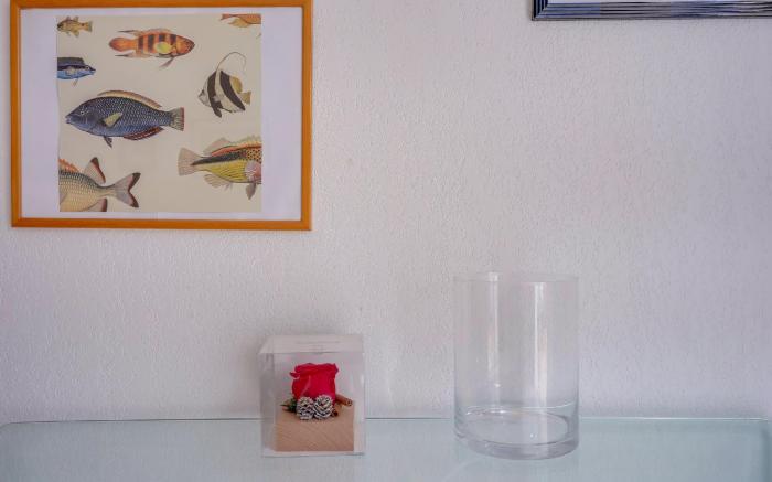 Appartement situation id  ale Libourne