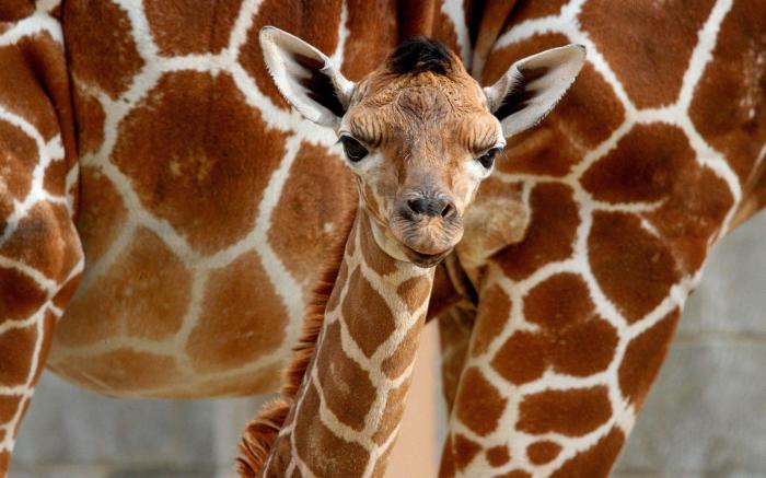 Staybridge Suites Midvale By IHG