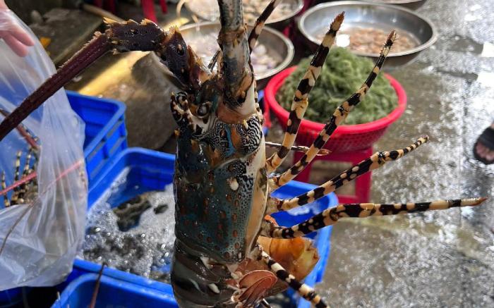 Furama Villas_SCentral 5-star resort