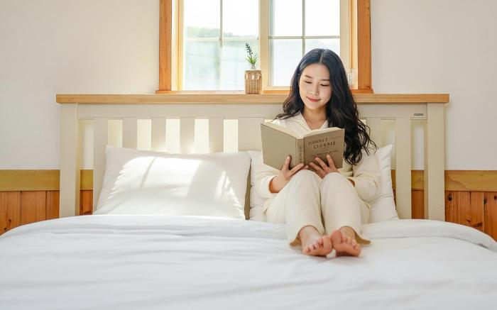 Daebudo Sketch Pension