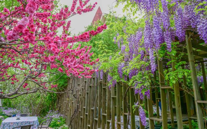 Zhi Resort · Beijing -Private Hot Spring&Breakfast with Deer&Landscapes of a Thousand Acres