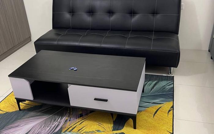 对宠物友好，免费停车，免费游泳池，免费健身房