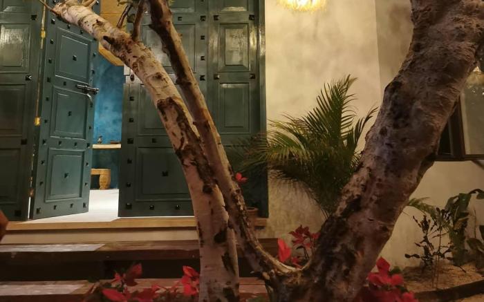La Puerta Azul Beachfront - Adults Only