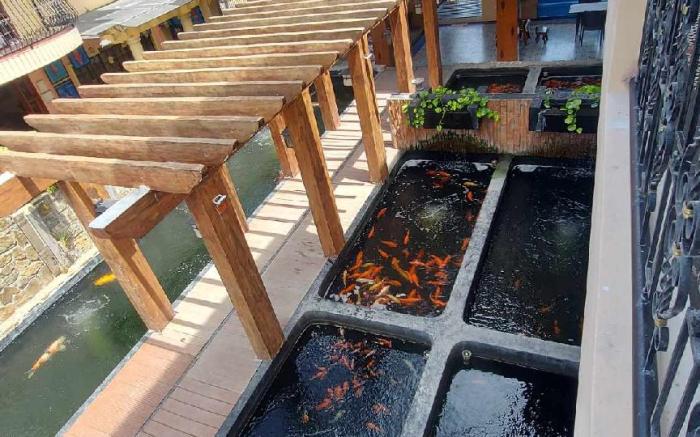 Koi Empire Bed and Breakfast