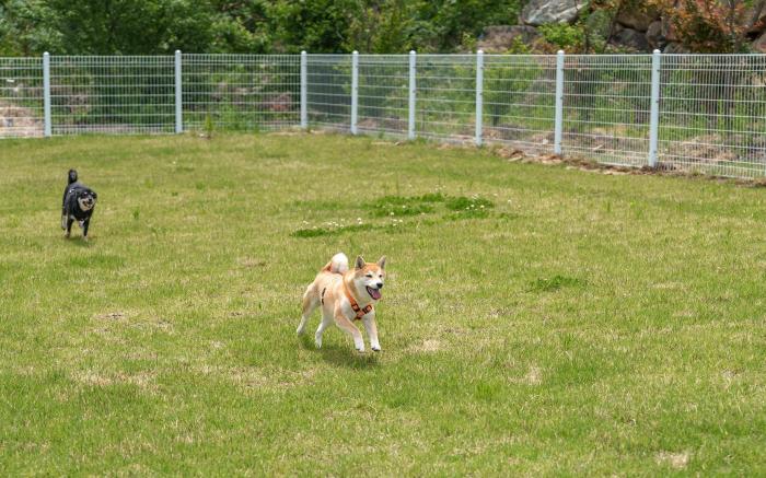 Mungyeong The Most Pool Villa
