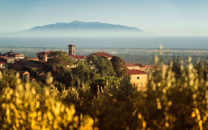 Casa Mario, experience the real Tuscany