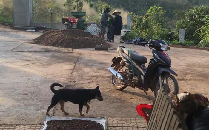 Homefarm | 2Anh_vietnam | Ta Dung Lake | Wabi sabi