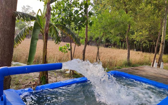 Punjab Village Farm near Amritsar