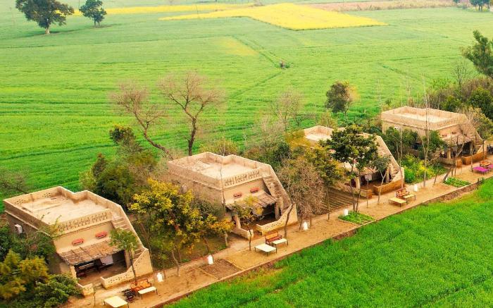 Punjab Village Farm near Amritsar