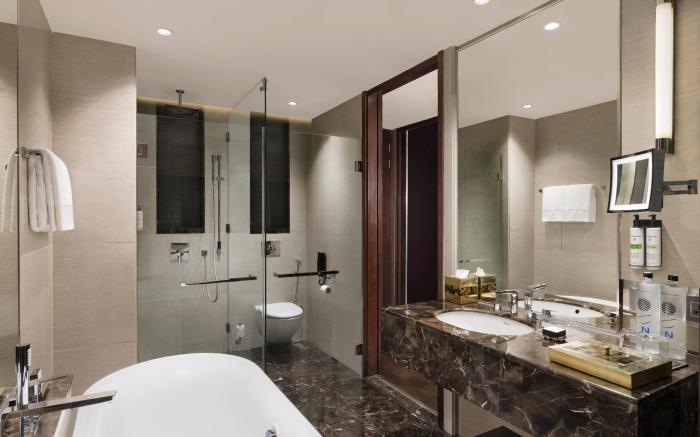 Pullman New Delhi Aerocity