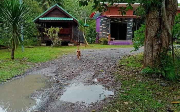 บ้านอินฟินิตี้