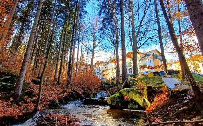 Apartamenty nad Zlotym Potokiem