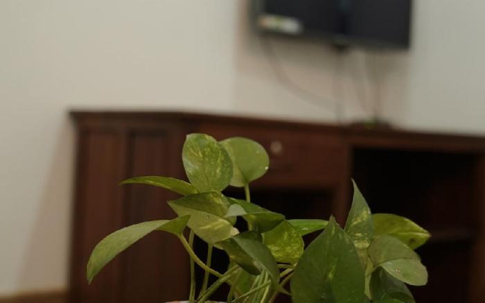 Executive One Bedroom Villa.(chethi)